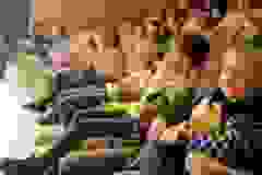 2cc60e9b-536d-4fdf-9bbb-980e9bc979e7