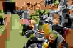a54307ff-79ea-4007-a04c-c3142f68701e