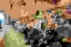 d13cbc4d-6802-4d81-a99d-b14b99f8cb34