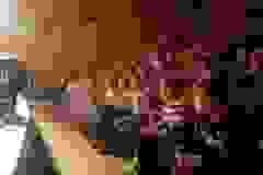 eb164305-5266-4e32-8d2d-e080cd670c66