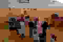 6e4a6e31-eb07-4f67-a4ad-0b5704d6f3b1