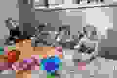 0bb320b4-13c9-4335-9dae-fcfdccb88005
