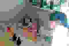 113c1f2b-38aa-4880-98f3-eef619039ed8