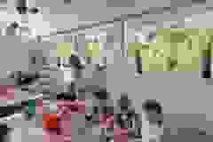 20492f69-77a6-4064-9221-a358c0af488f
