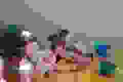 447ad7b1-1f8f-4a55-9817-e07a2fd51086