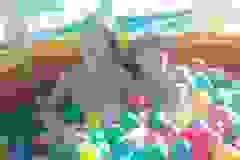 4f36f598-8a09-47af-8187-71851210972f