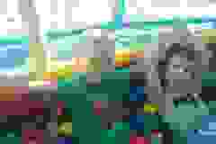 583f8602-745b-4bc2-b04b-0294eb6d73e9