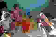 65a46547-ee85-452f-865e-083409d72454