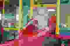 721782e6-177c-4833-accf-3a2df49f8ed1