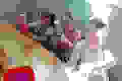 95aebf47-f808-4b82-b82f-ca879ed8a657