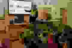 0a18964e-0000-4eaa-9791-f2cd122c5c13