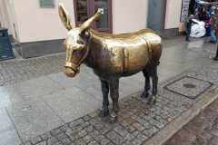 Torun16