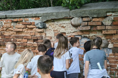 IMG_20250604_104042