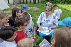 IMG_20250604_104433