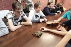 IMG_20211001_125032