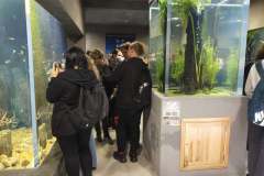 IMG_20211001_130411