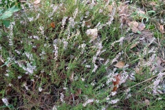 IMG_20210929_095921