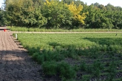 IMG_20210929_104759