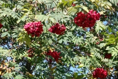 IMG_20210929_111734