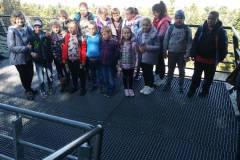 IMG_20211010_185116