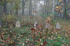 IMG_20221026_090620