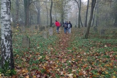 IMG_20221026_091537