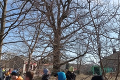 IMG_20220318_093006
