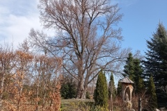 IMG_20220318_094657