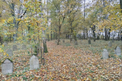 IMG_20241029_083305