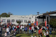 DSC03787