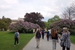 IMG_20220511_145655