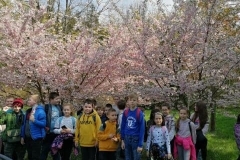 Wycieczka do Ogrodu Botanicznego w Łodzi