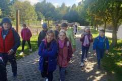 zoo3