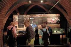 IMG_20250507_090932