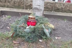IMG_20230414_063125