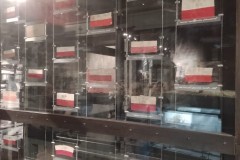IMG_20230414_063358
