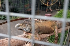 IMG_20210914_112552