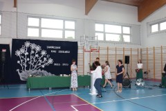 IMG_4534