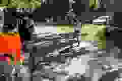 650207d0-9c48-48e5-b0a4-643a962cd28e