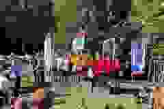84b670bc-a388-4913-8c42-0de2c4754f3c